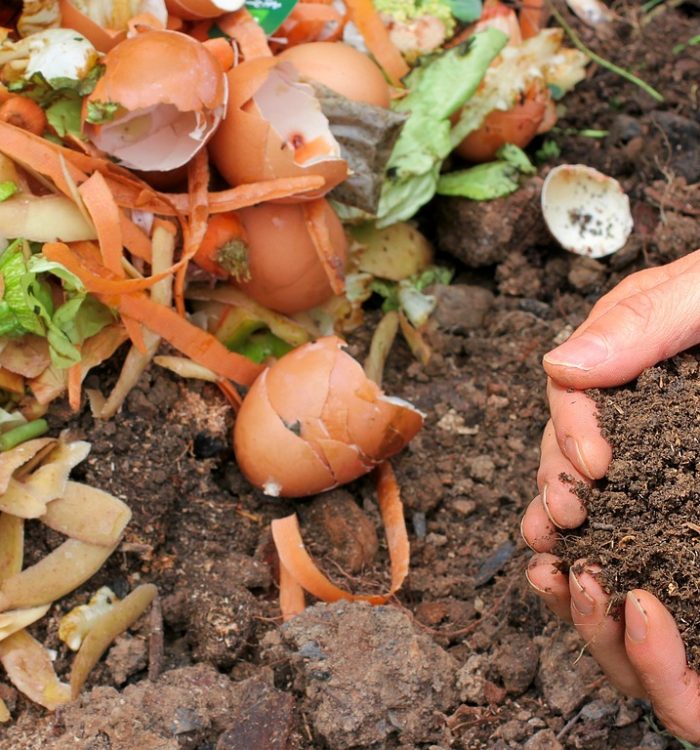 The Science of Composting: Transforming Waste into Wealth