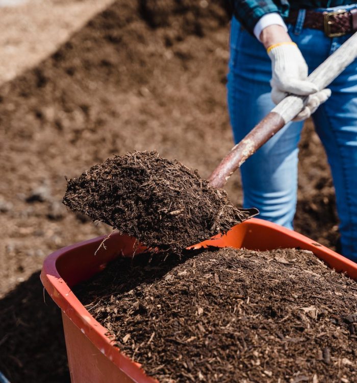 Effective Composting & Fertilizing Techniques to Feed Your Soil
