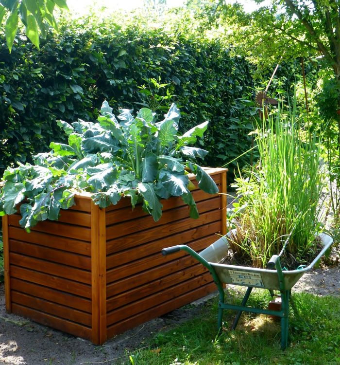 Raised Bed Gardens: A Comprehensive Guide to Elevating Your Gardening Game