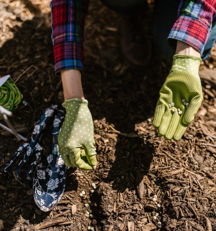All About Mulching: Protecting and Nourishing Your Garden