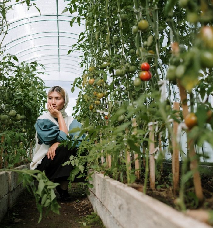 Deciding Between Flowers, Fruits, and Vegetables for Beginners